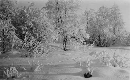 vinterbild.jpg - Vinter bild..